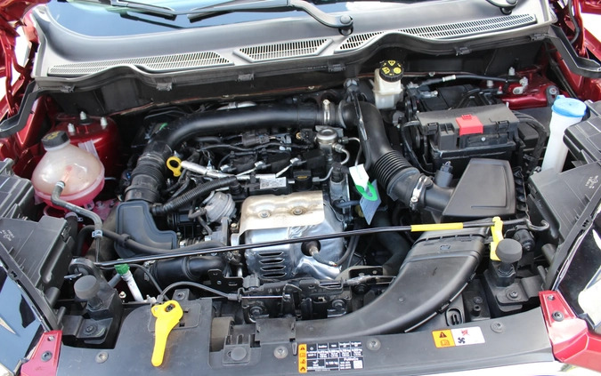 Ford EcoSport cena 55900 przebieg: 65419, rok produkcji 2019 z Lubań małe 352